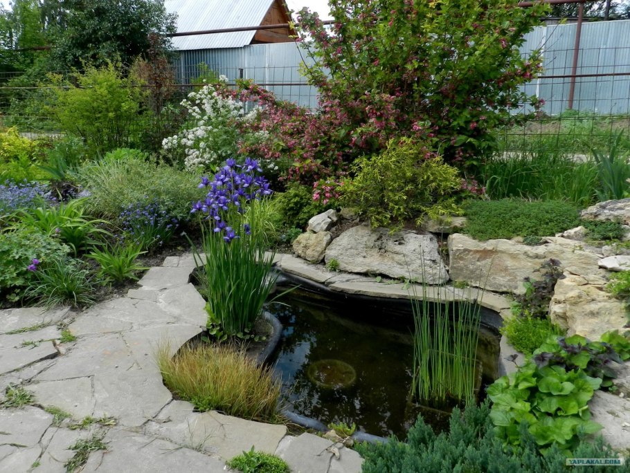 Альпийская горка вокруг пруда