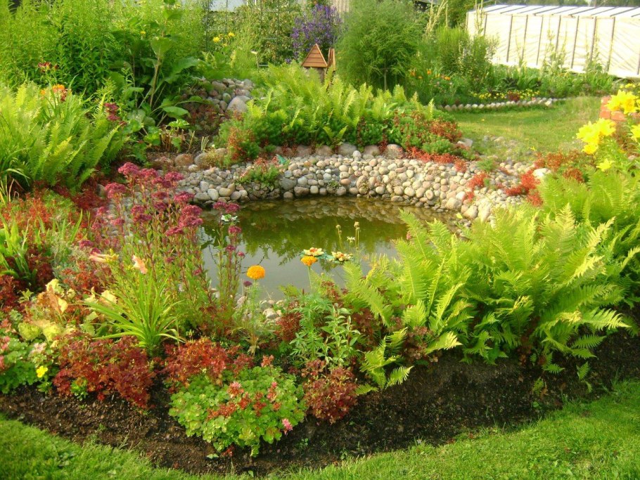 Альпийская горка возле прудика