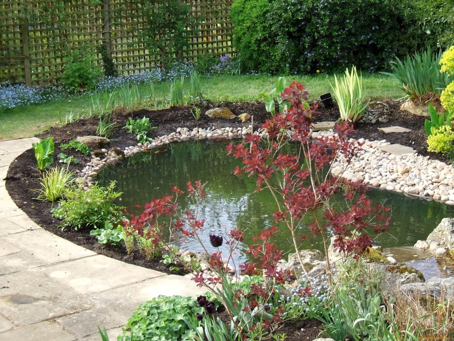 Клумба возле прудика