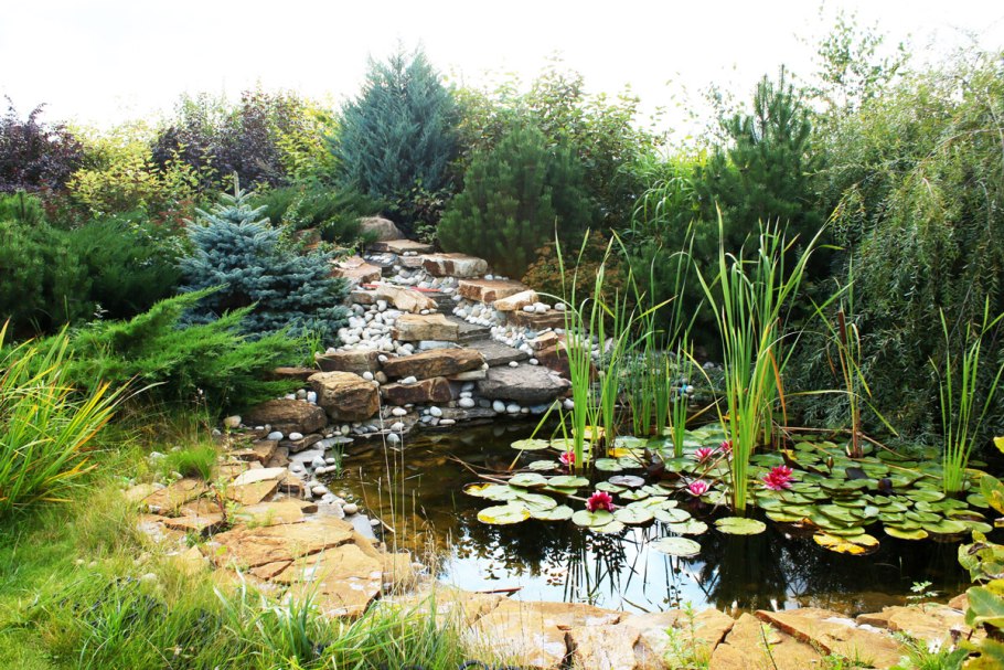 Батова Светлана ландшафтный дизайнер