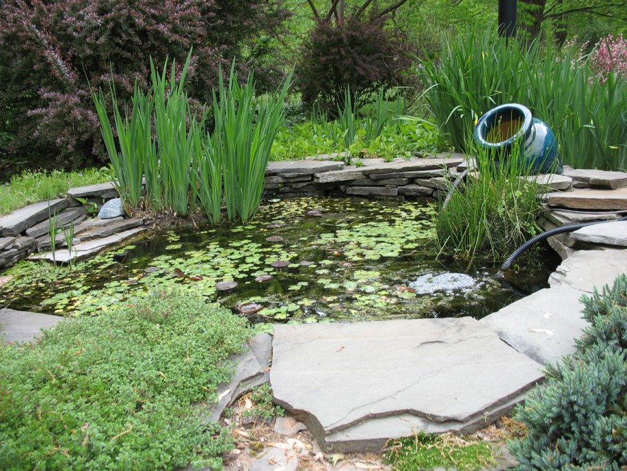 Болотце декоративное на участке