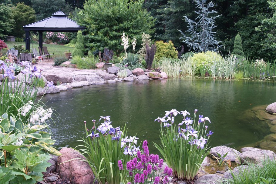 Аркадий водоемов пруд в саду