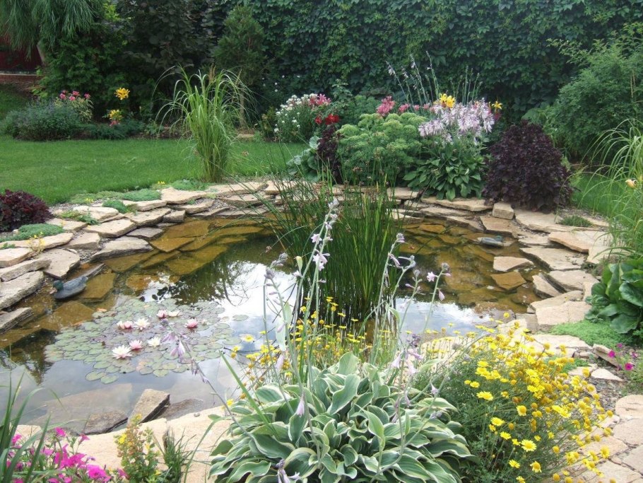 Ландшафтный дизайн вокруг пруда