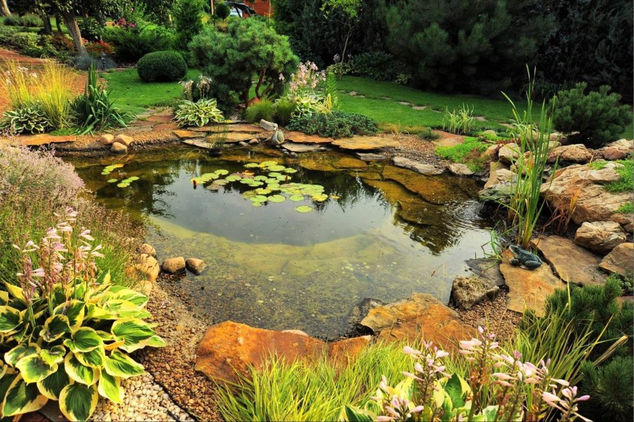 Дачный прудик ландшафт