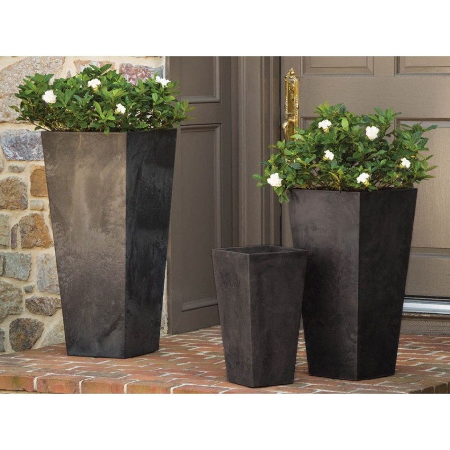 Вазоны Фабиан Смит