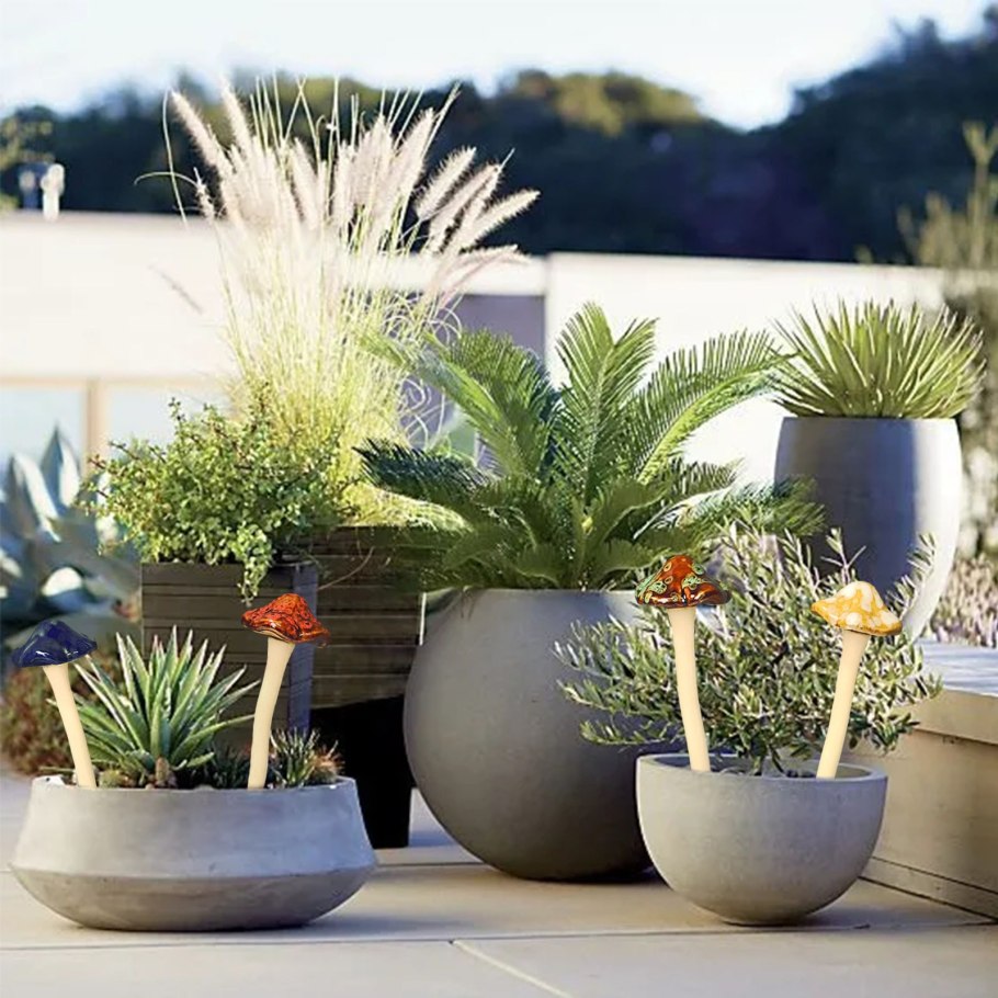 Контейнерное Озеленение патио