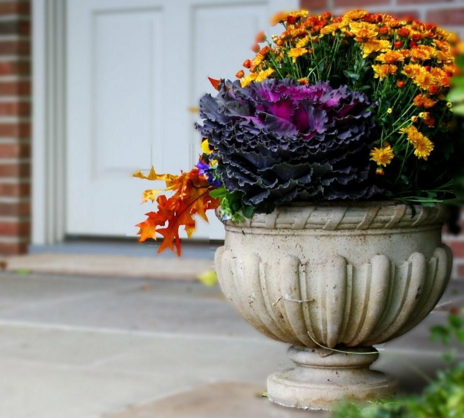 Композиции в уличных вазонах