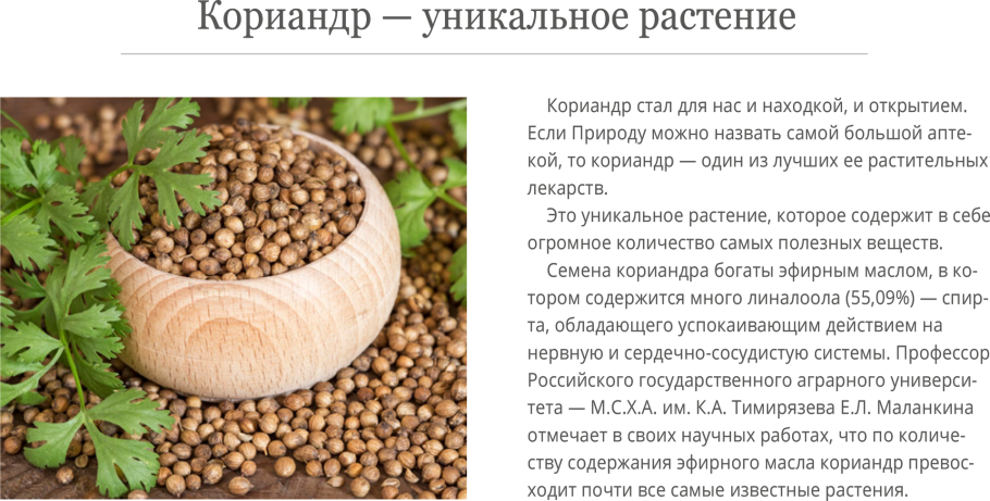 Кориандр и кинза одно и тоже или нет