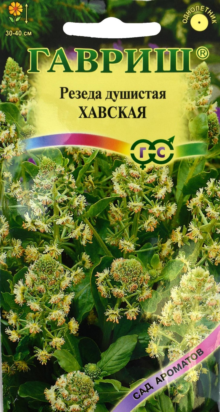 Резеда Хавская