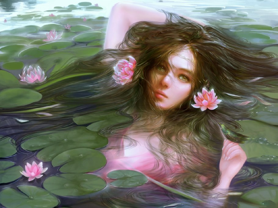 Нимфея растение