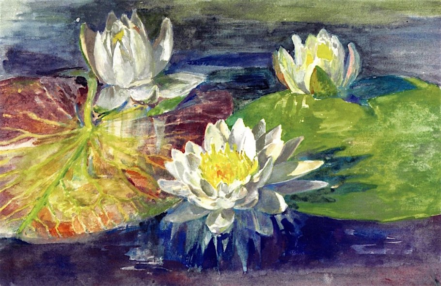 Цветы Ненюфары