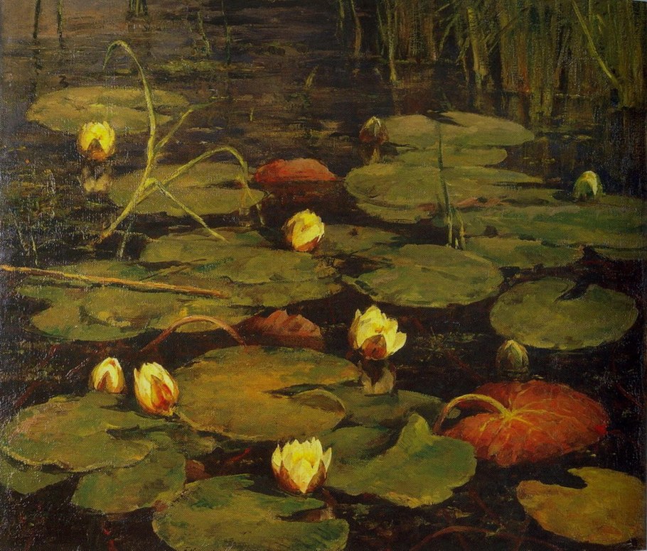 Водяная Лилия кувшинка