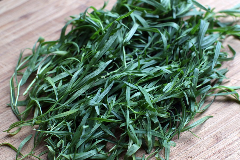 Тархун эстрагон куст