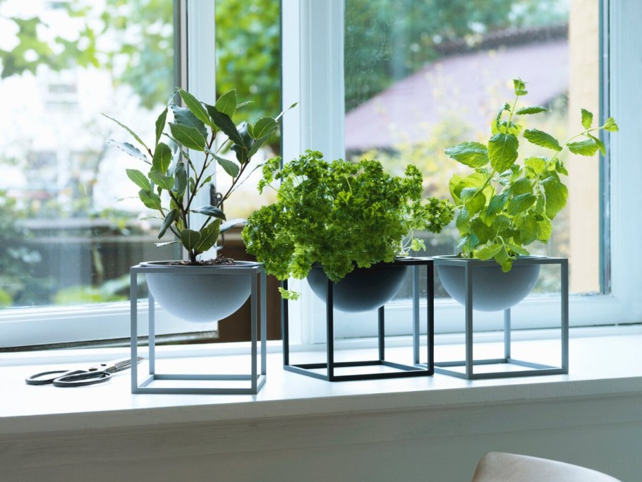 Подоконник с цветами