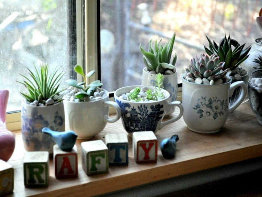 Green windowsill