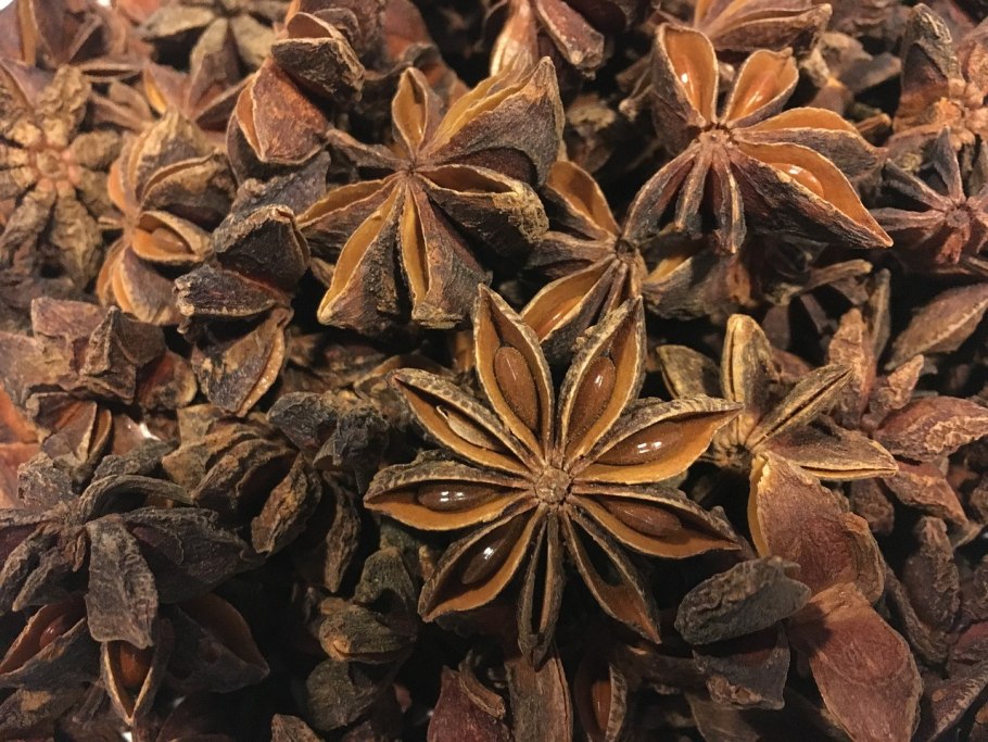 Бадьян звездчатый растение