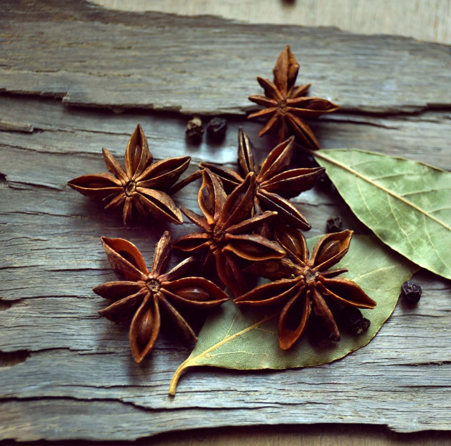 Бадьян - ани́с звёздчатый
