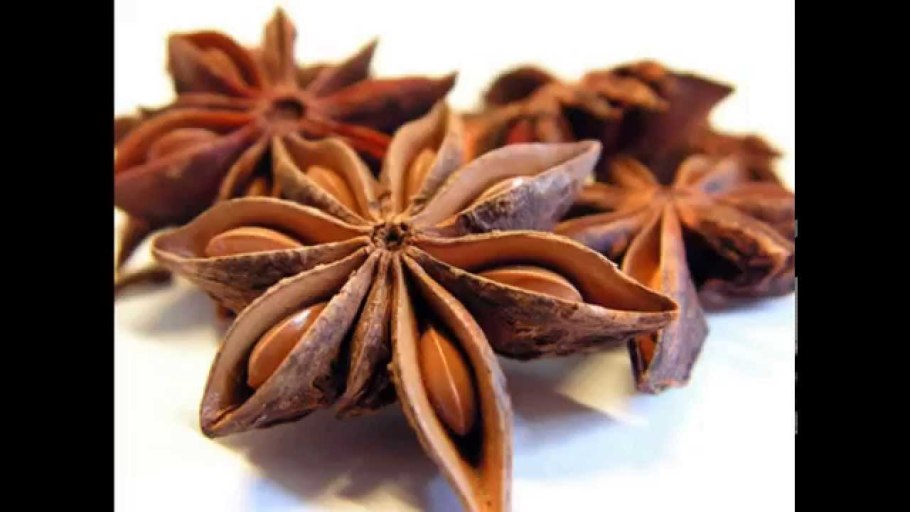 Бадьян мелкоцветковый