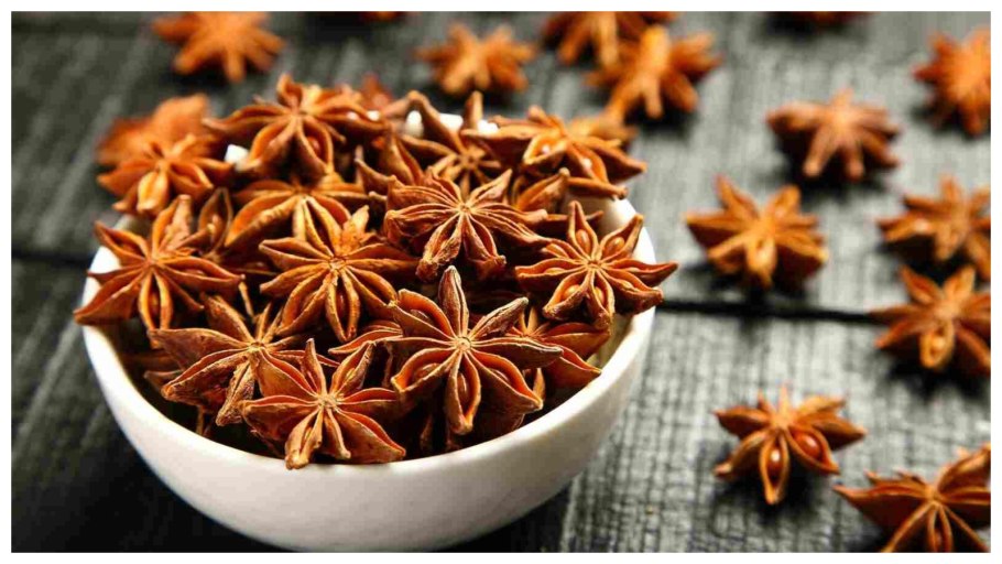 Бадьян звездчатый полезные свойства