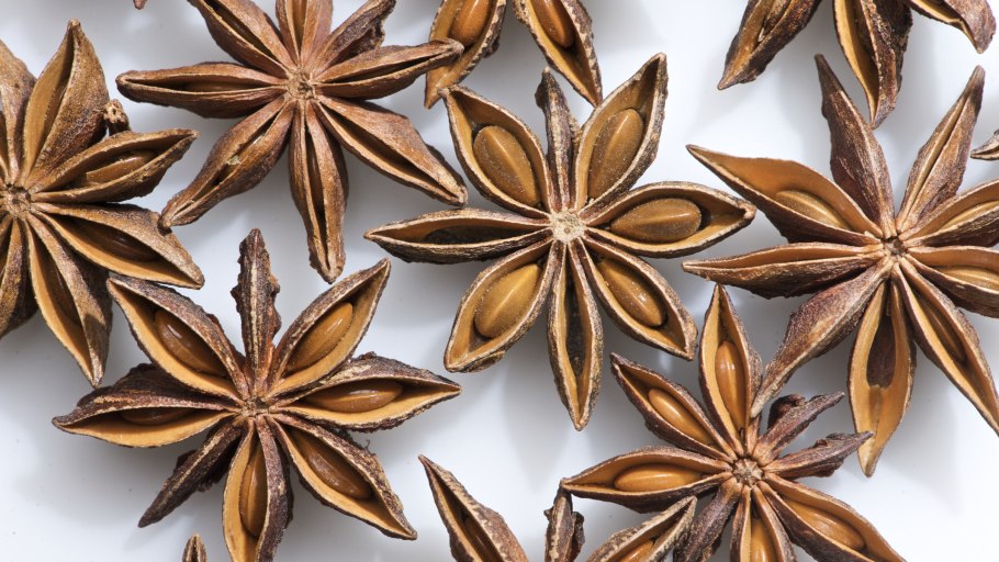 Бадьян анисовый