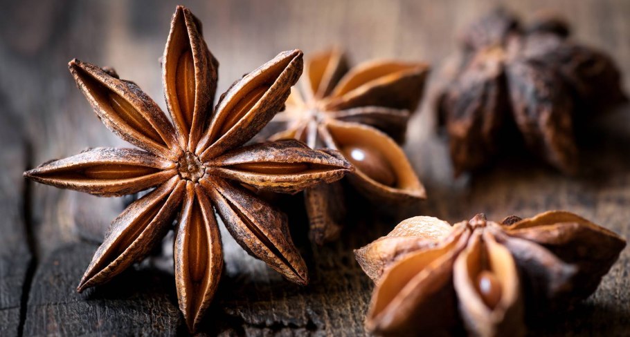 Бадьян растение семена