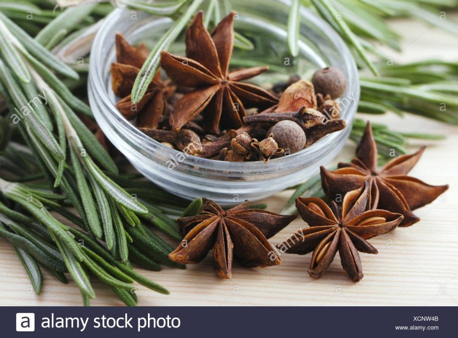 Бадьян розмарин