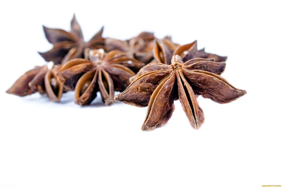 Бадьян специя гвоздика