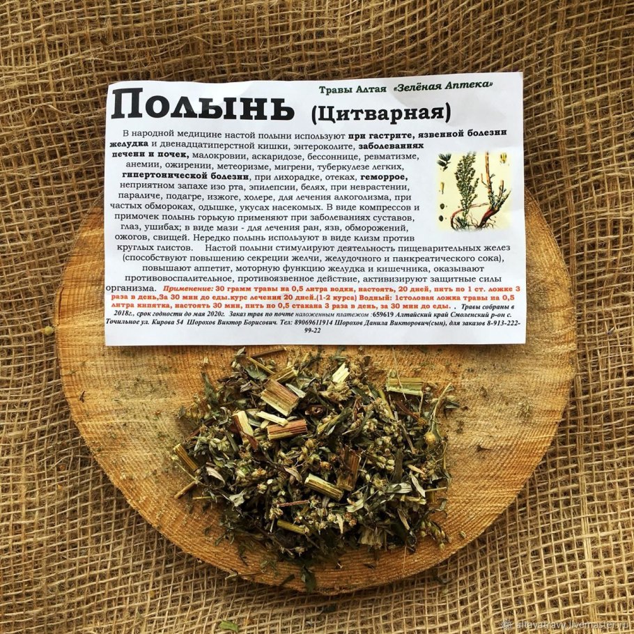 Полынь горькая (Artemisia absinthium)