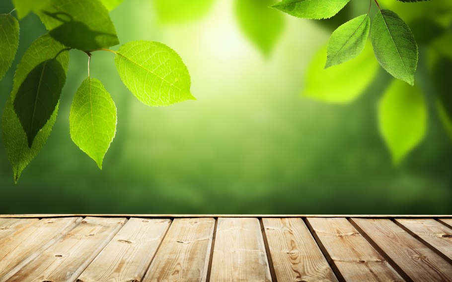 Деревянный фон с листьями зелеными
