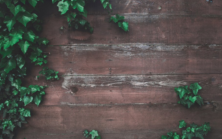 Деревянный фон