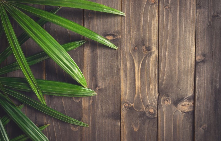 Древесный фон