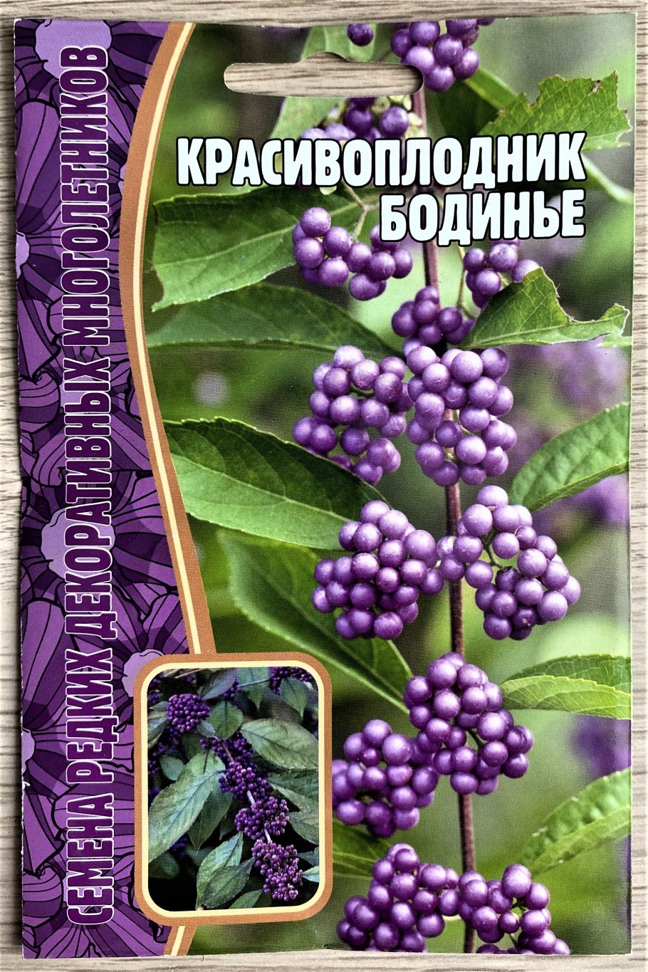 Красивоплодник семена