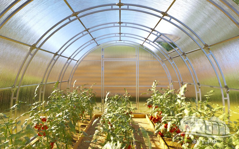 Greenhouse теплицы комбинат