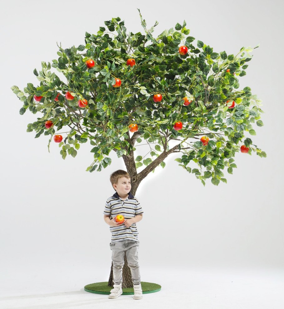 Яблоня деревце