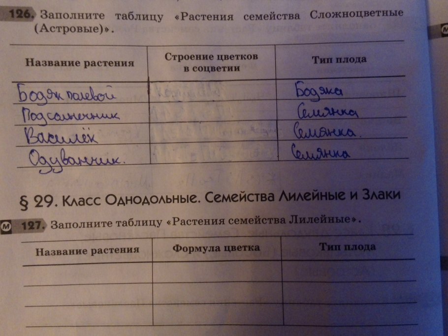 Растений семейство Сложноцветные гербарий