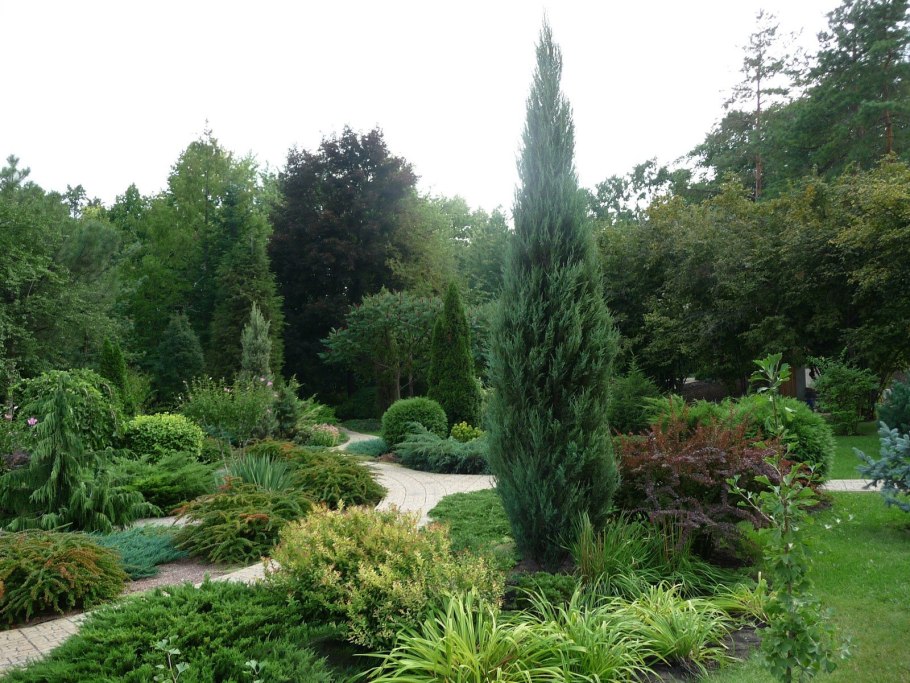 Северный массив ботанического сада в Донецке