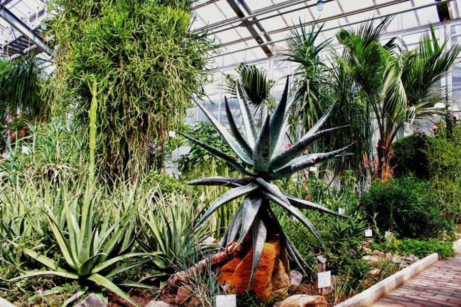 Ботанический сад Донецк