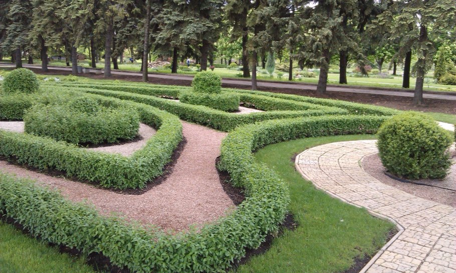 Комнатные растения ДНР