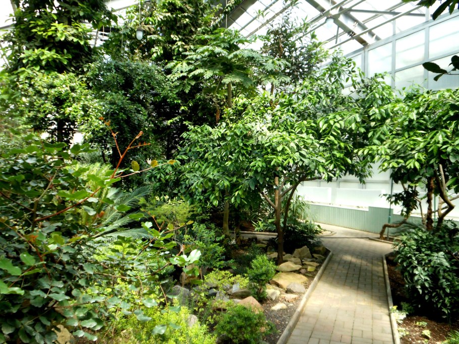 Резиденция «Люкс» в Ботаническом саду Донецка