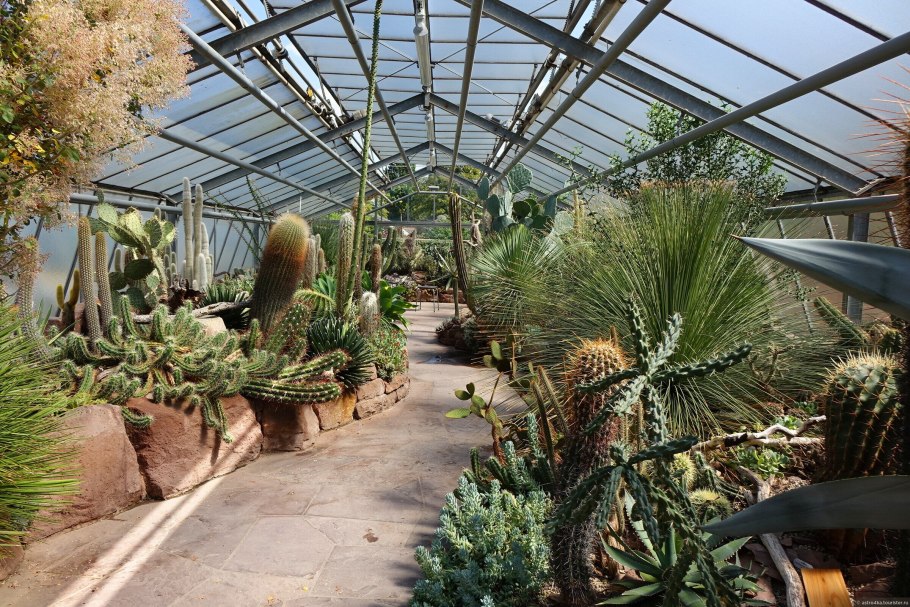 Донецкий Ботанический сад оранжерея