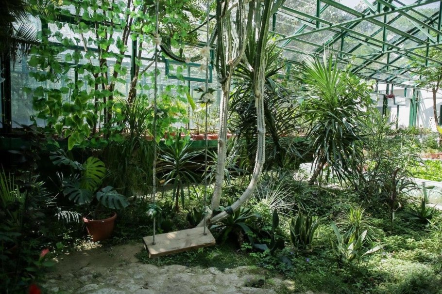 Цветочный Донецк