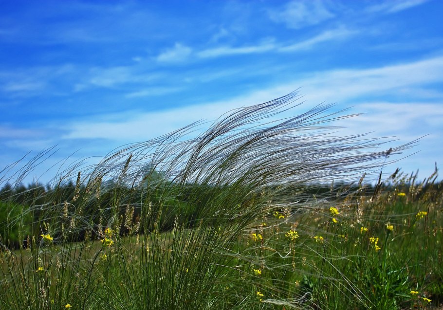 Донецк Ботнический сад оранжерея