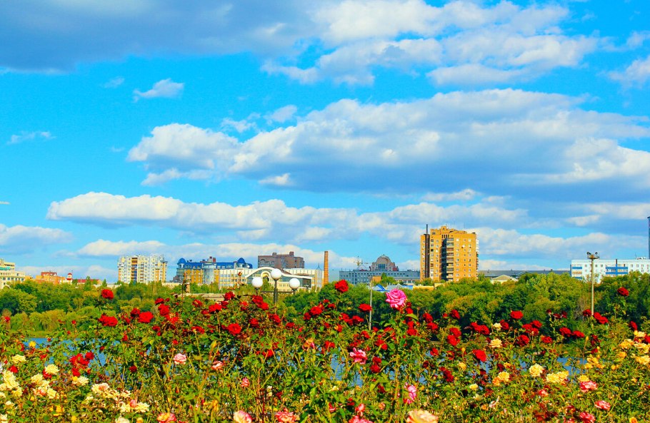 Аллея роз Донецк