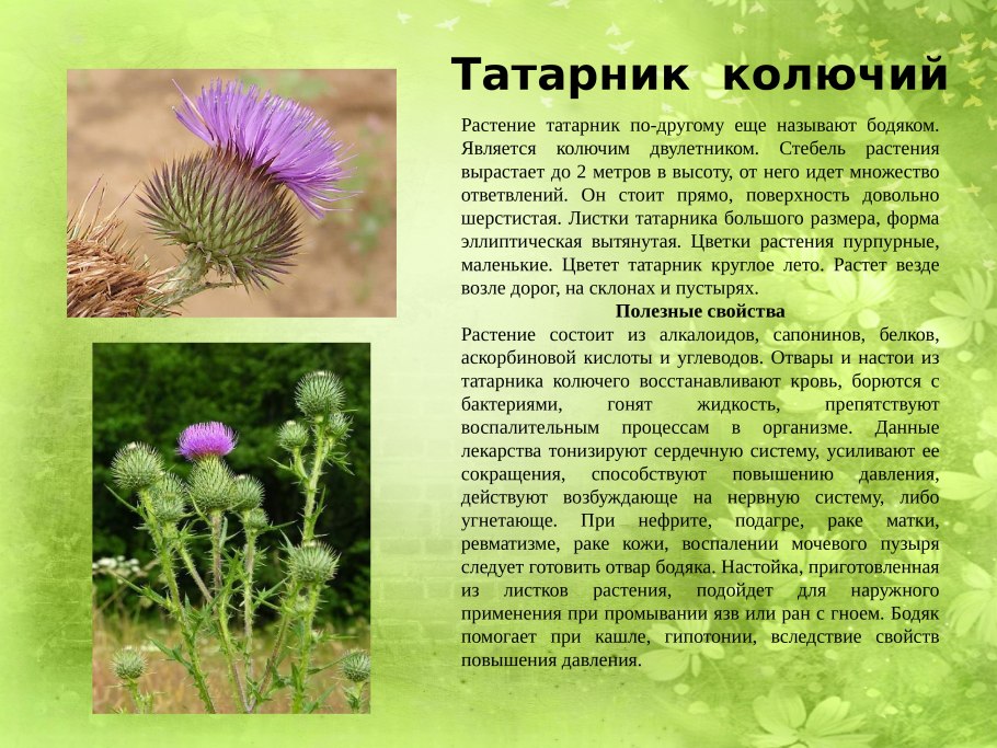 Донецк Кальмиус Террикон