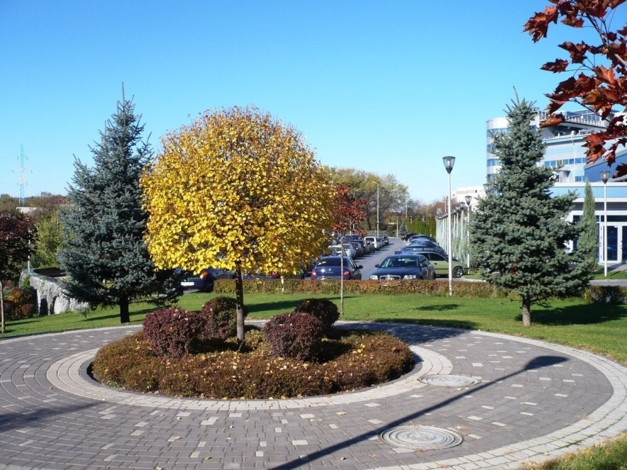 Луганск город роз