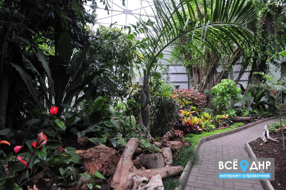 Донецкий Ботанический сад ДНР