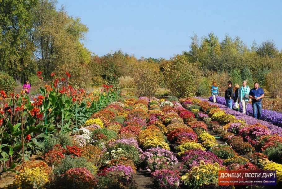 Донецкий Ботанический сад нан Украины Донецк