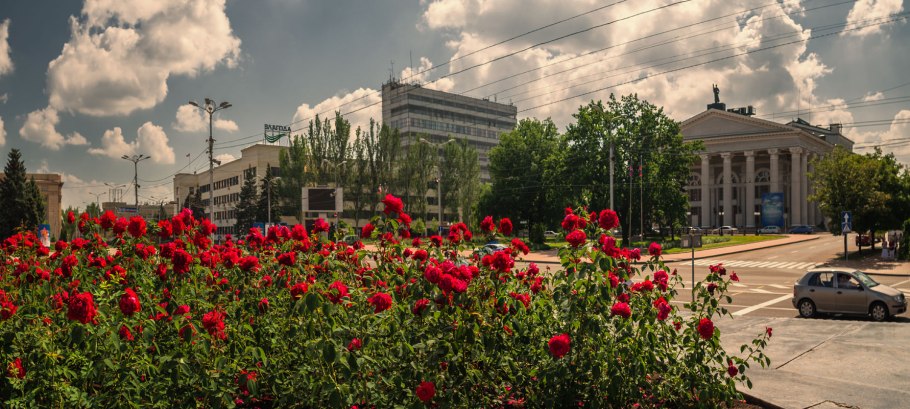 Стрельцовская степь Луганская