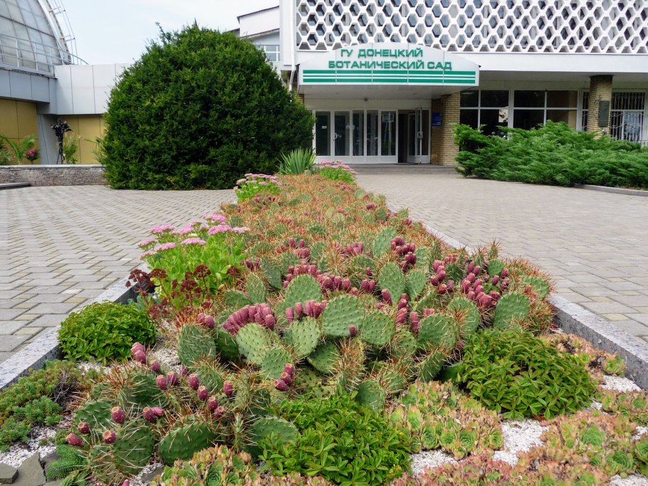 Донецкий Ботанический сад