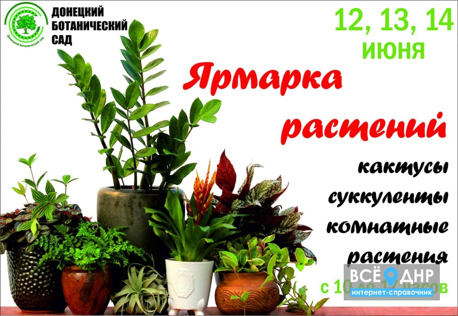 Хомутовская степь Донбасс